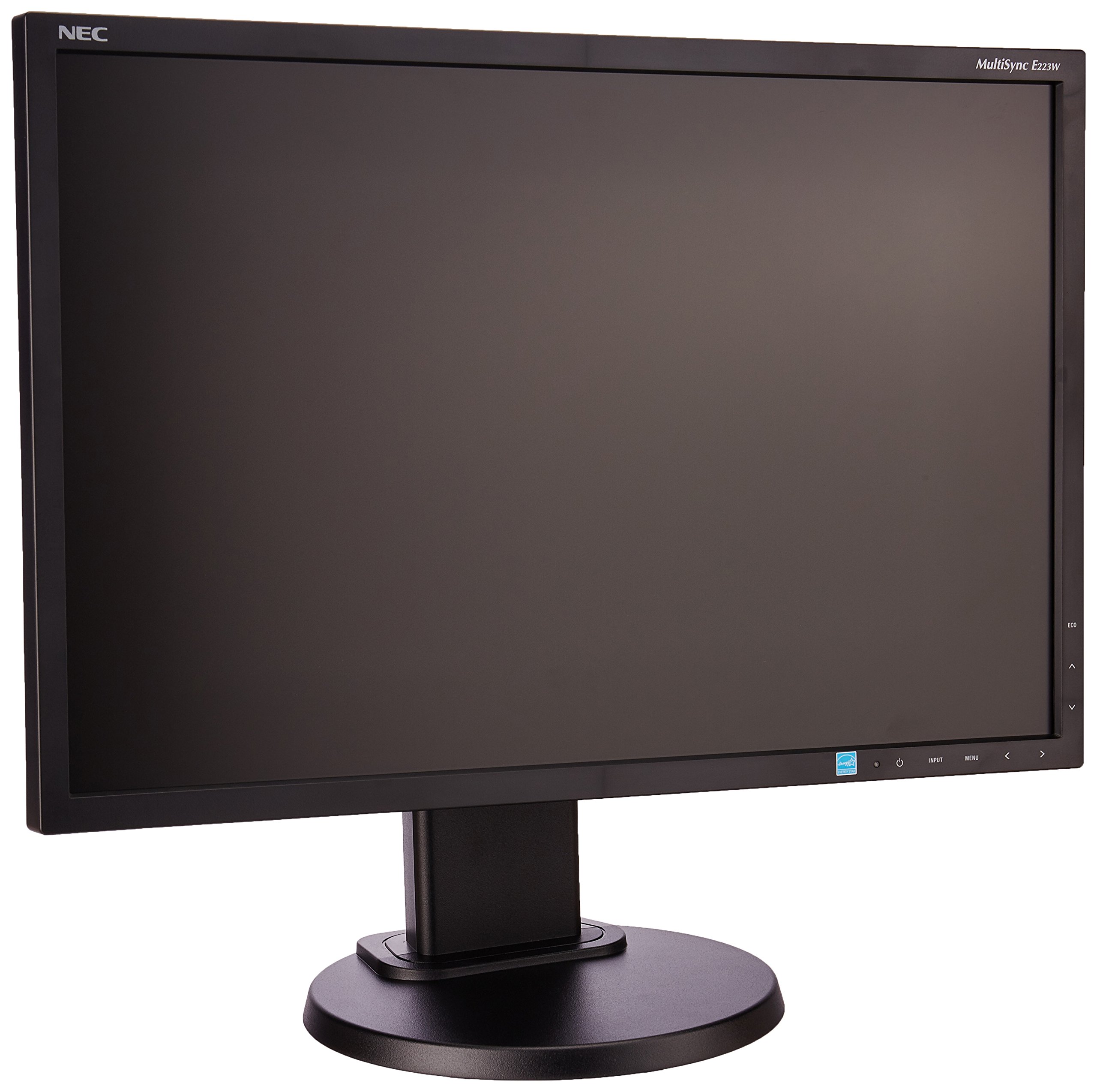 NEC MultiSync E223W-BK 22-Inch Screen LCD Monitor : Amazon.sg